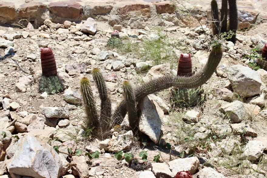 I Photographed Tucume, Valley Of The Pyramids (40 Pics)