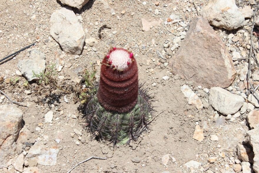 I Photographed Tucume, Valley Of The Pyramids (40 Pics)