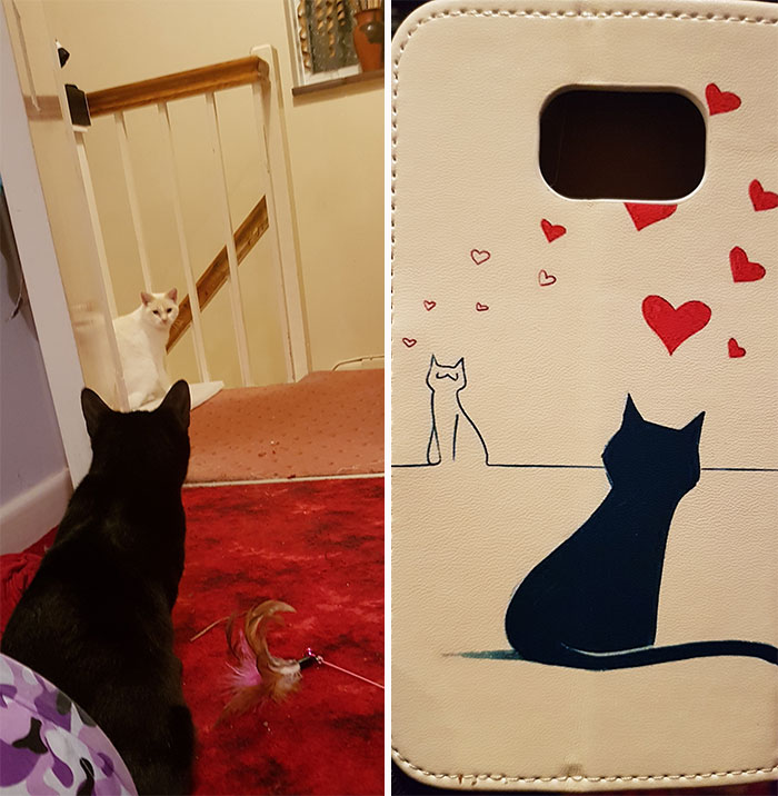 My Cats Spend 10% Of The Time Fighting, 90% Of The Time Staring At Each Other. When I Saw This Phone Case, I Had To Buy It