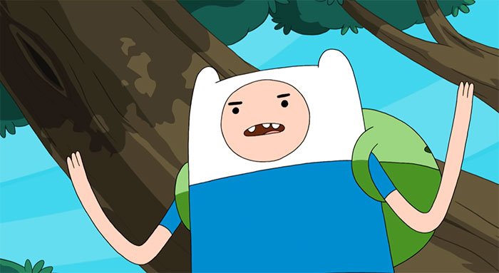 Finn the Human arguing
