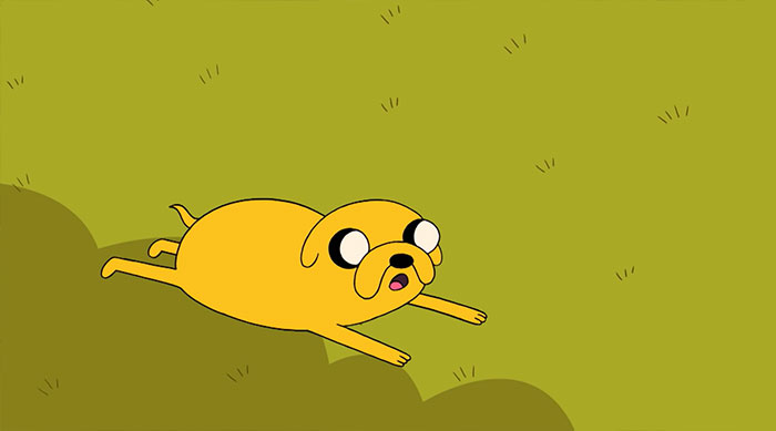 Jake the Dog lying on the grass