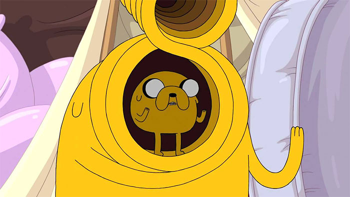 Jake the Dog goes crazy