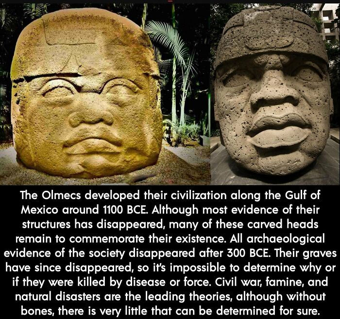 The Olmecs