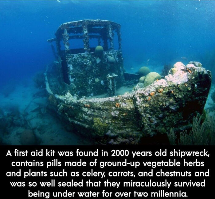 This Shipwreck