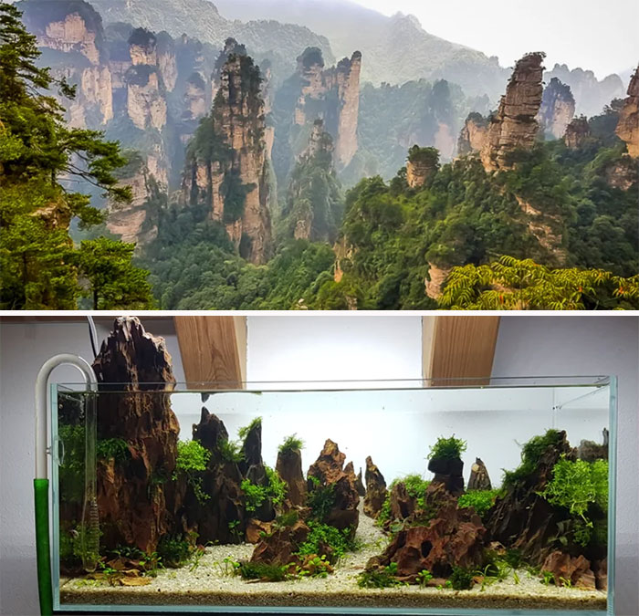 Aquarium with Avatar mountains 