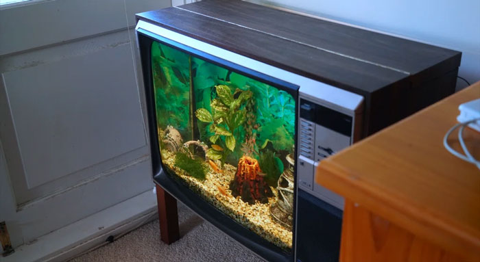 After 6 Months - My Aquarium TV!