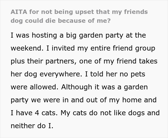 "I've Heard She Plans To Sue Me For Her Vet Bills": Guest Brings Her Dog To A Party Without Permission, Blames It On The Hostess When He Gets Seriously Sick "I've Heard She Plans To Sue Me For Her Vet Bills": Guest Brings Her Dog To A Party Without Permission, Blames It On The Hostess When He Gets Seriously Sick