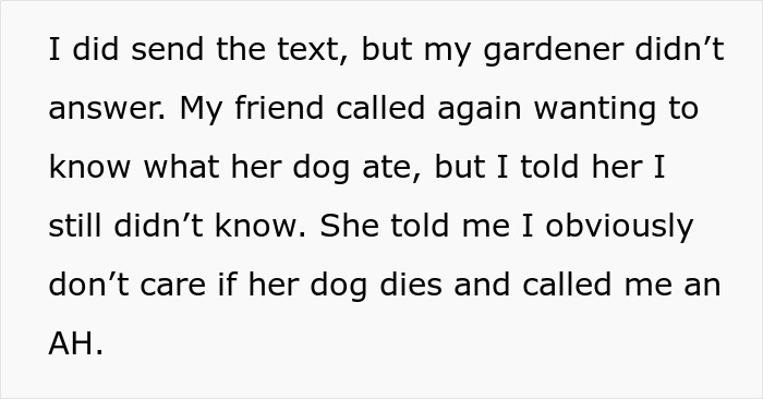 "I've Heard She Plans To Sue Me For Her Vet Bills": Guest Brings Her Dog To A Party Without Permission, Blames It On The Hostess When He Gets Seriously Sick "I've Heard She Plans To Sue Me For Her Vet Bills": Guest Brings Her Dog To A Party Without Permission, Blames It On The Hostess When He Gets Seriously Sick