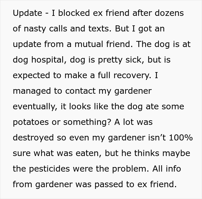 "I've Heard She Plans To Sue Me For Her Vet Bills": Guest Brings Her Dog To A Party Without Permission, Blames It On The Hostess When He Gets Seriously Sick "I've Heard She Plans To Sue Me For Her Vet Bills": Guest Brings Her Dog To A Party Without Permission, Blames It On The Hostess When He Gets Seriously Sick