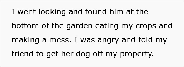 "I've Heard She Plans To Sue Me For Her Vet Bills": Guest Brings Her Dog To A Party Without Permission, Blames It On The Hostess When He Gets Seriously Sick "I've Heard She Plans To Sue Me For Her Vet Bills": Guest Brings Her Dog To A Party Without Permission, Blames It On The Hostess When He Gets Seriously Sick