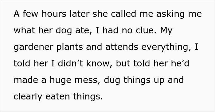 "I've Heard She Plans To Sue Me For Her Vet Bills": Guest Brings Her Dog To A Party Without Permission, Blames It On The Hostess When He Gets Seriously Sick "I've Heard She Plans To Sue Me For Her Vet Bills": Guest Brings Her Dog To A Party Without Permission, Blames It On The Hostess When He Gets Seriously Sick
