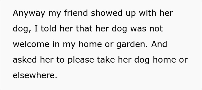 "I've Heard She Plans To Sue Me For Her Vet Bills": Guest Brings Her Dog To A Party Without Permission, Blames It On The Hostess When He Gets Seriously Sick "I've Heard She Plans To Sue Me For Her Vet Bills": Guest Brings Her Dog To A Party Without Permission, Blames It On The Hostess When He Gets Seriously Sick