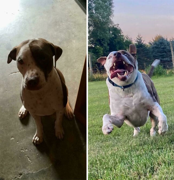 5 Months After Adoption vs. 8 Years After Adoption :)