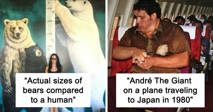 This Instagram Account Shares Fascinating Fun Facts You Probably Didn’t ...