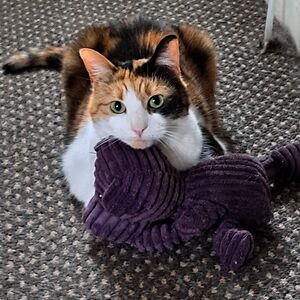 soapsvonsoaps avatar