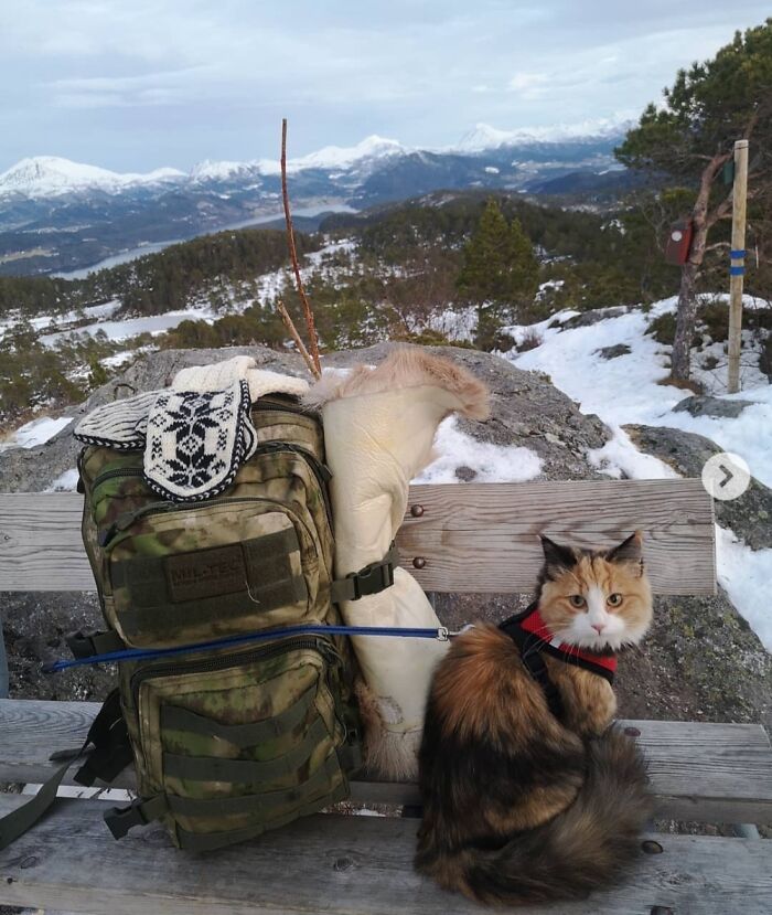 Nala Loves To Explore Nature 