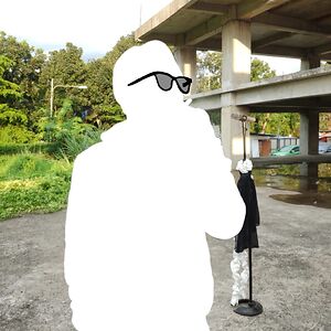 anandaberrilaridzky avatar