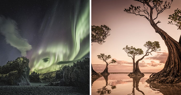 Nature Photography: 20 Winning Images Of The International Photo Awards 2022