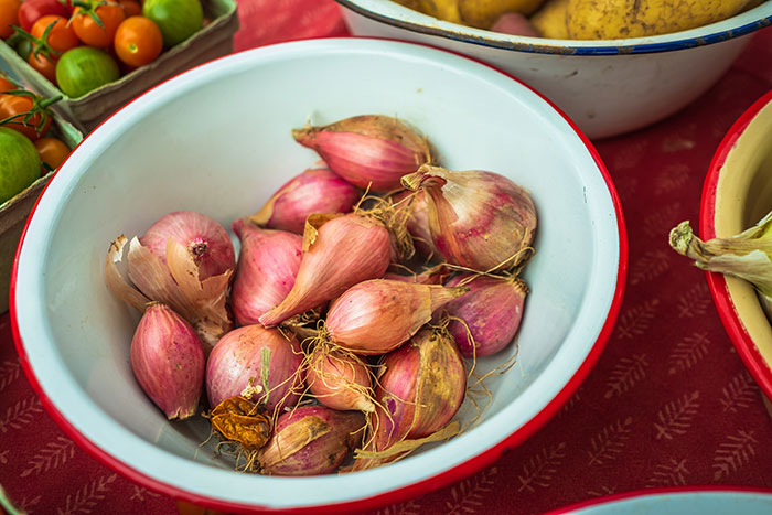 Red and brown onion on white ceramic bowl