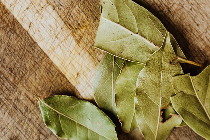 Close-up of dried bay leaves on cutting board 