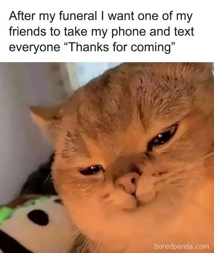50 Funny Instagram Memes That Might Make You Chuckle Bored Panda
