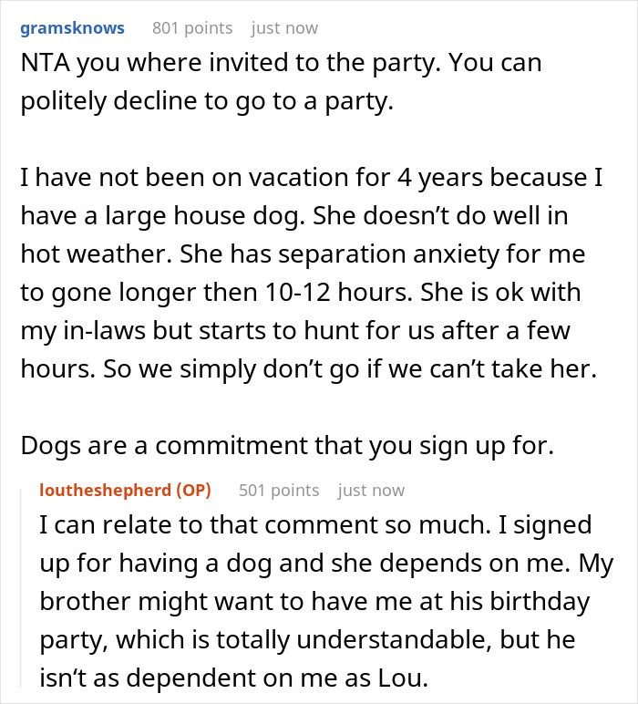 Woman Asks If It’d Be A Jerk Move To Miss Her Brother’s 40th Birthday Because They Banned Her “Aggressive” German Shepherd From Their House
