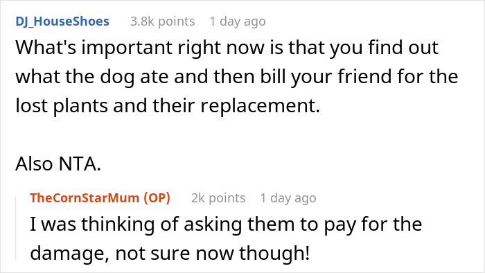 "I've Heard She Plans To Sue Me For Her Vet Bills": Guest Brings Her Dog To A Party Without Permission, Blames It On The Hostess When He Gets Seriously Sick "I've Heard She Plans To Sue Me For Her Vet Bills": Guest Brings Her Dog To A Party Without Permission, Blames It On The Hostess When He Gets Seriously Sick
