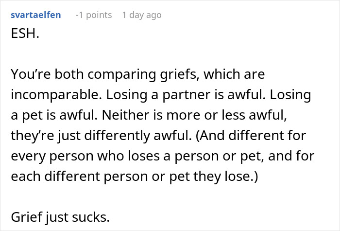 “A Dog Is Not The Same As A Husband”: Woman Loses Patience With Her Sister For Nonstop Comparisons Of Their Losses “A Dog Is Not The Same As A Husband”: Woman Loses Patience With Her Sister For Nonstop Comparisons Of Their Losses
