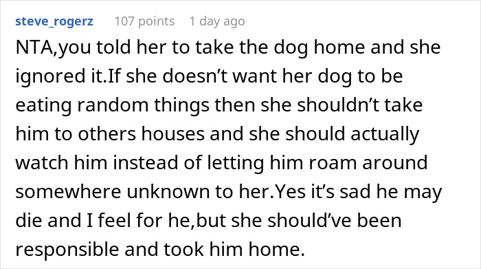 "I've Heard She Plans To Sue Me For Her Vet Bills": Guest Brings Her Dog To A Party Without Permission, Blames It On The Hostess When He Gets Seriously Sick