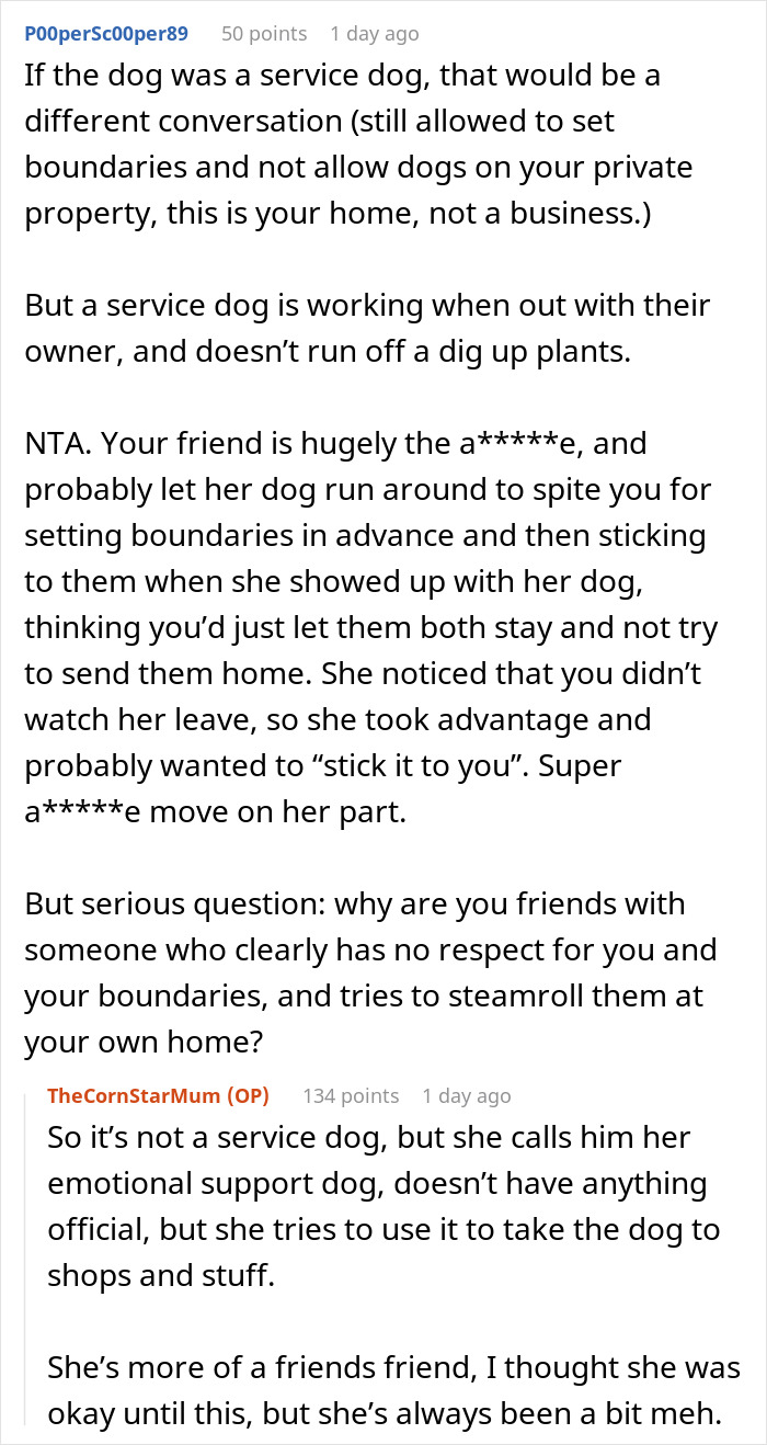 "I've Heard She Plans To Sue Me For Her Vet Bills": Guest Brings Her Dog To A Party Without Permission, Blames It On The Hostess When He Gets Seriously Sick "I've Heard She Plans To Sue Me For Her Vet Bills": Guest Brings Her Dog To A Party Without Permission, Blames It On The Hostess When He Gets Seriously Sick