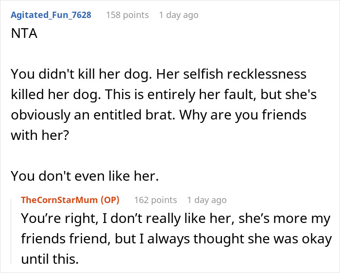 "I've Heard She Plans To Sue Me For Her Vet Bills": Guest Brings Her Dog To A Party Without Permission, Blames It On The Hostess When He Gets Seriously Sick "I've Heard She Plans To Sue Me For Her Vet Bills": Guest Brings Her Dog To A Party Without Permission, Blames It On The Hostess When He Gets Seriously Sick