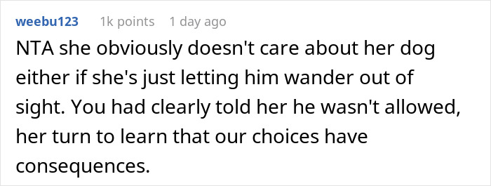"I've Heard She Plans To Sue Me For Her Vet Bills": Guest Brings Her Dog To A Party Without Permission, Blames It On The Hostess When He Gets Seriously Sick "I've Heard She Plans To Sue Me For Her Vet Bills": Guest Brings Her Dog To A Party Without Permission, Blames It On The Hostess When He Gets Seriously Sick