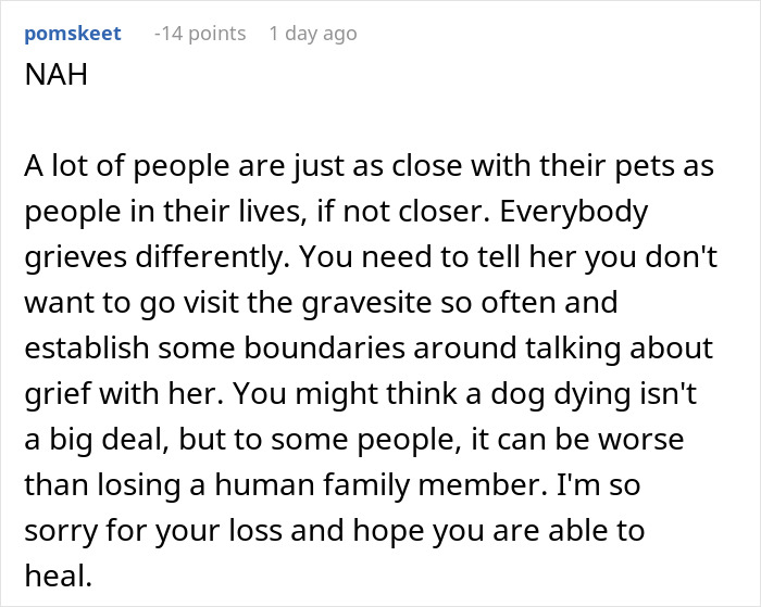 “A Dog Is Not The Same As A Husband”: Woman Loses Patience With Her Sister For Nonstop Comparisons Of Their Losses “A Dog Is Not The Same As A Husband”: Woman Loses Patience With Her Sister For Nonstop Comparisons Of Their Losses