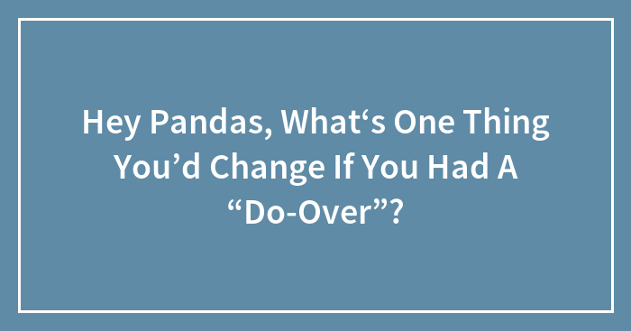Hey Pandas, What‘s One Thing You’d Change If You Had A “Do-Over”? (Closed)