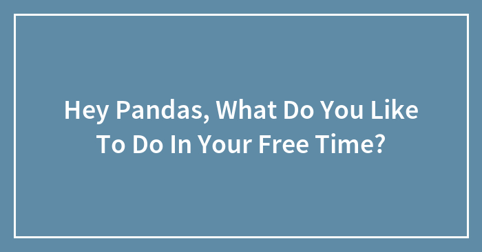 Hey Pandas, What Do You Like To Do In Your Free Time?