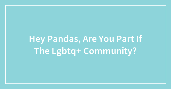 Hey Pandas, Are You Part If The Lgbtq+ Community?