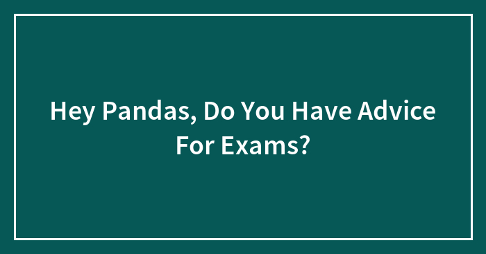Hey Pandas, Do You Have Advice For Exams?