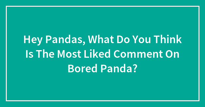 Hey Pandas, What Do You Think Is The Most Liked Comment On Bored Panda?