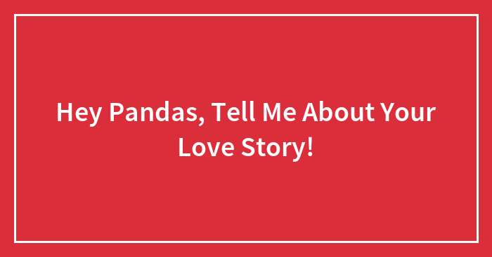 Hey Pandas, Tell Me About Your Love Story! (Closed)