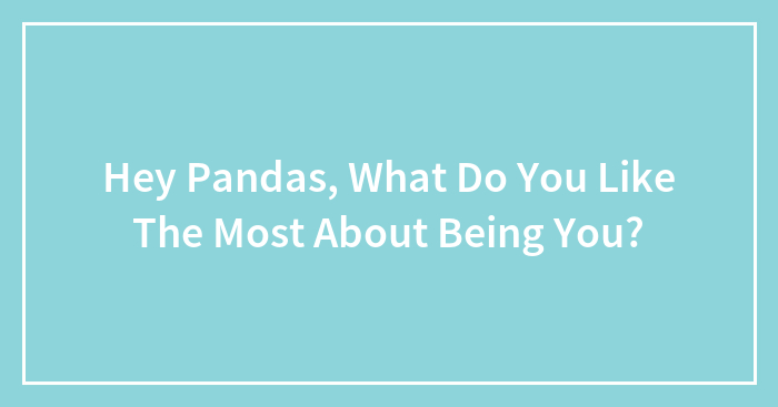 Hey Pandas, What Do You Like The Most About Being You? (Closed)
