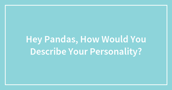 Hey Pandas, How Would You Describe Your Personality? (Closed)
