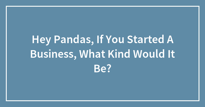 Hey Pandas, If You Started A Business, What Kind Would It Be?