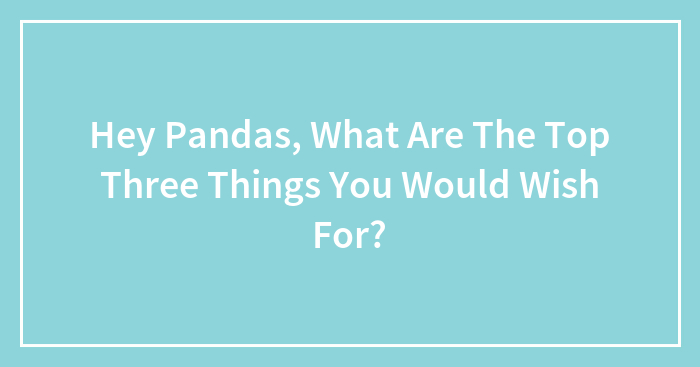Hey Pandas, What Are The Top Three Things You Would Wish For?