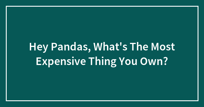 Hey Pandas, What’s The Most Expensive Thing You Own?
