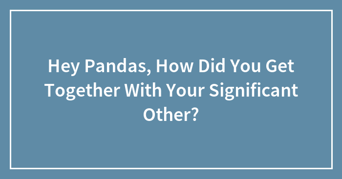 Hey Pandas, How Did You Get Together With Your Significant Other? (Closed)