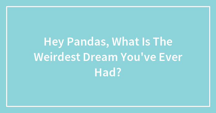 Hey Pandas, What Is The Weirdest Dream You’ve Ever Had?