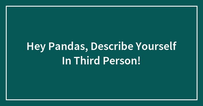 Hey Pandas, Describe Yourself In Third Person!