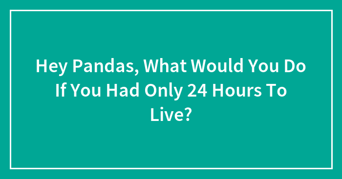 Hey Pandas, What Would You Do If You Had Only 24 Hours To Live? (Closed)