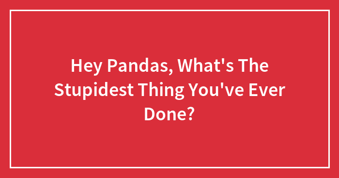 Hey Pandas, What’s The Stupidest Thing You’ve Ever Done? (Closed)