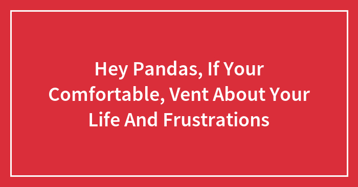 Hey Pandas, If Your Comfortable, Vent About Your Life And Frustrations